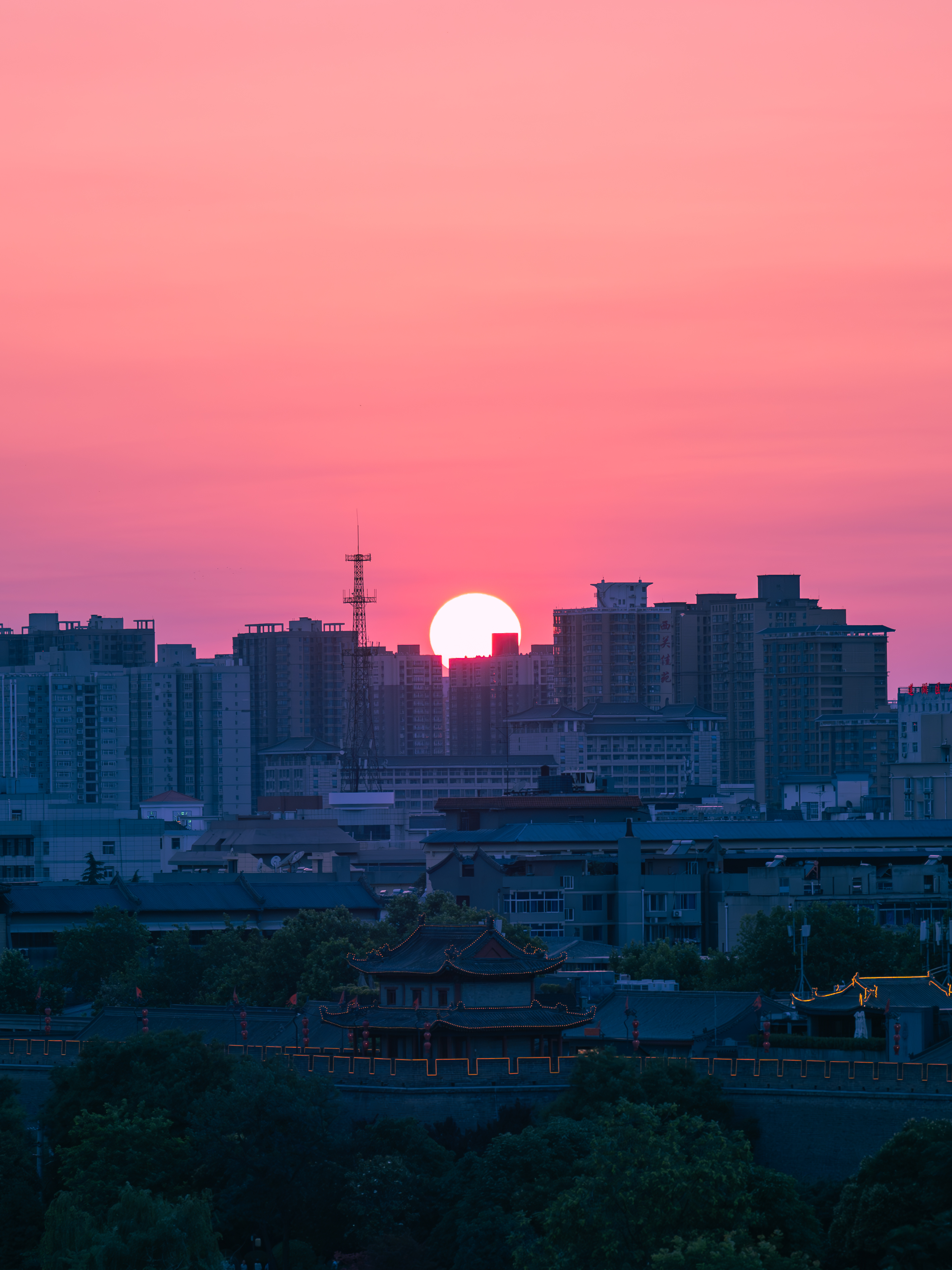 P6040151-已增强-降噪